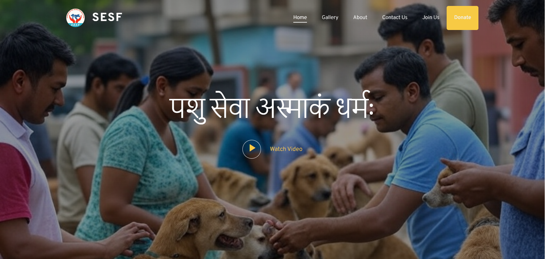 NGO Website